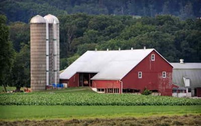 The Finer Points of Farm Insurance