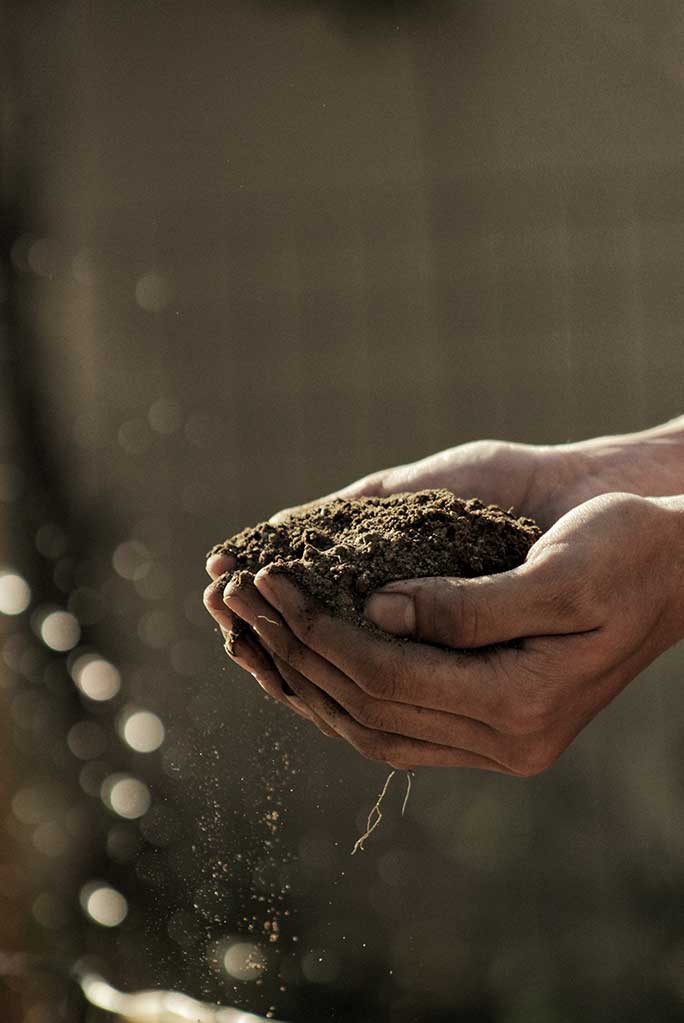 Farm soil in hand