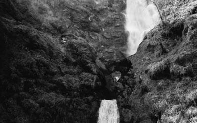 The Hard Market of 2019