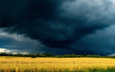A Tornado just hit, now what do I do?