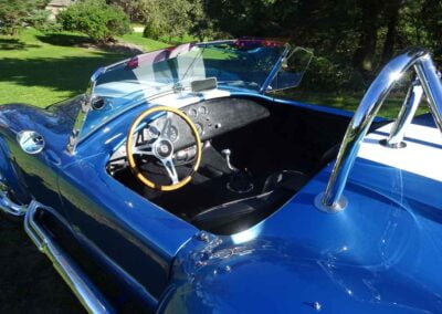 2002 Johnnex Canam Cobra Replica