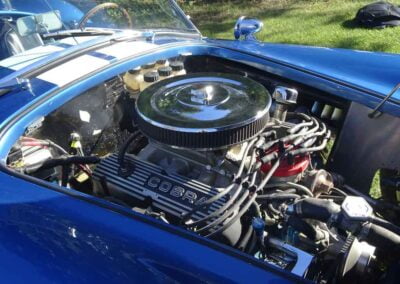 2002 Johnnex Canam Cobra Replica