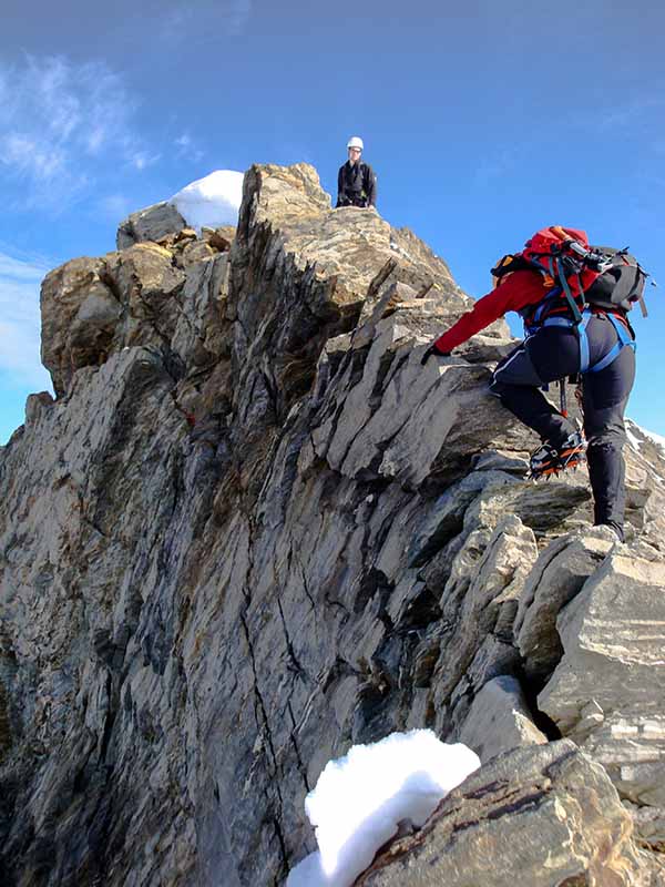 Risk Management and trust