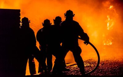 AEMS: Your Farm’s Silent Protector