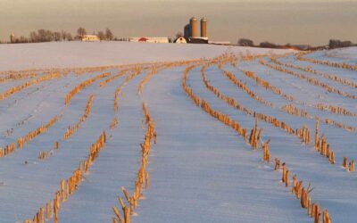 Off-Season Success: Essential Tasks for Every Farm