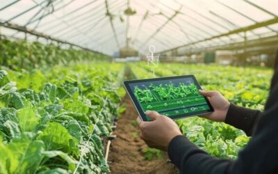 Feeding the Future: How Technology is Shaping Agriculture