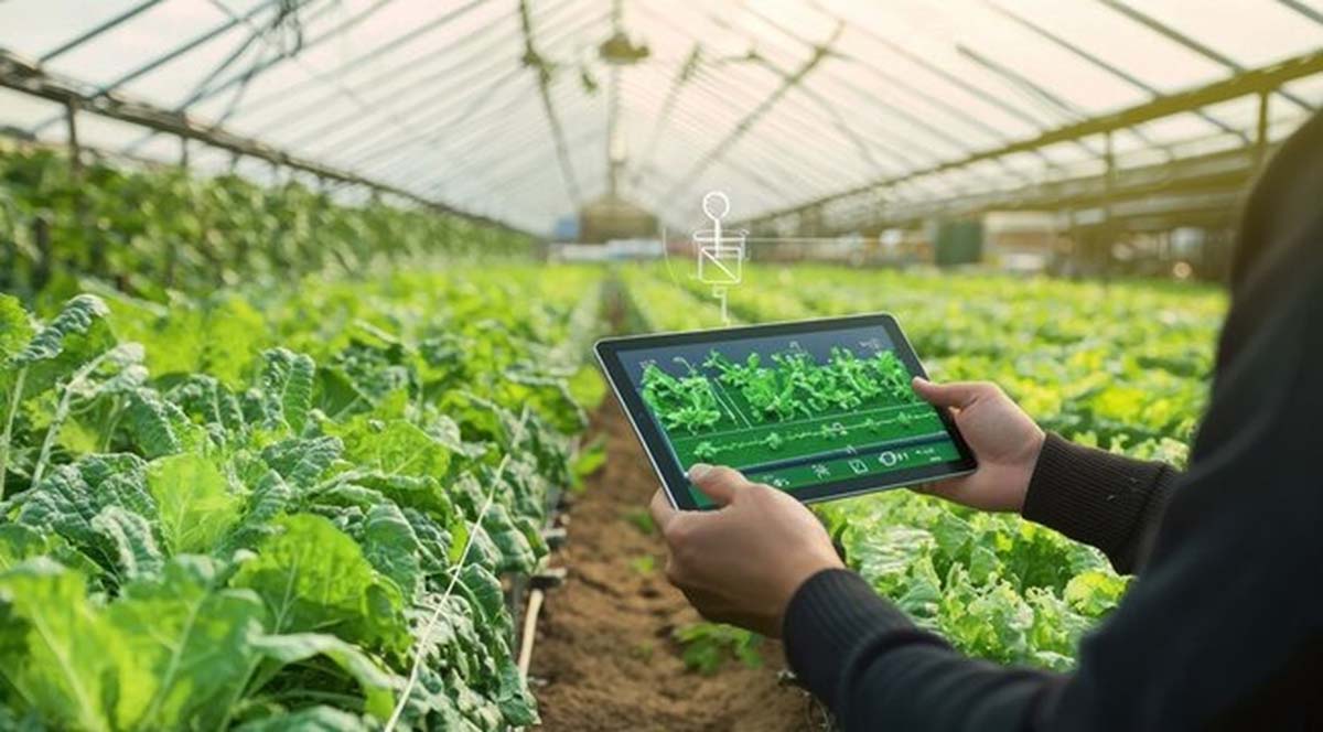 Tablet at a greenhouse