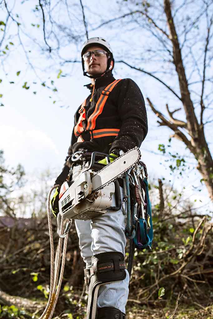 Chainsaw earbuds