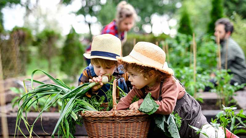 Children at the farm
