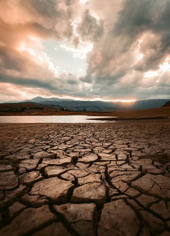 Drought