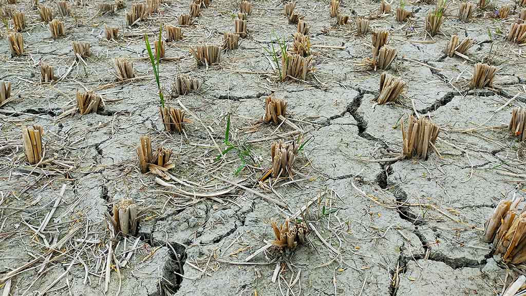 Drought