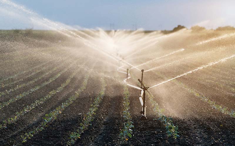 Irrigation