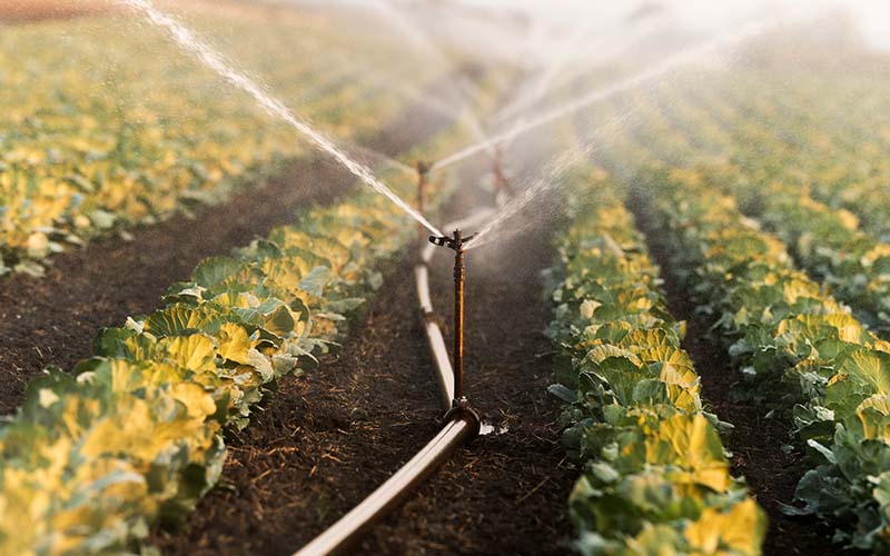 Irrigation