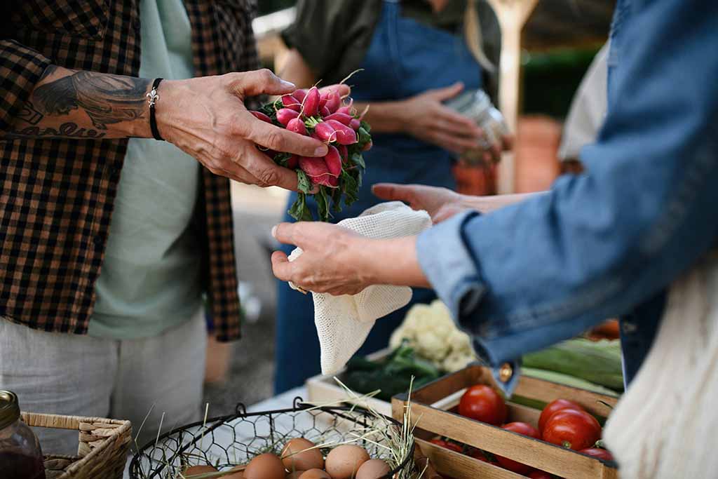 Farm market