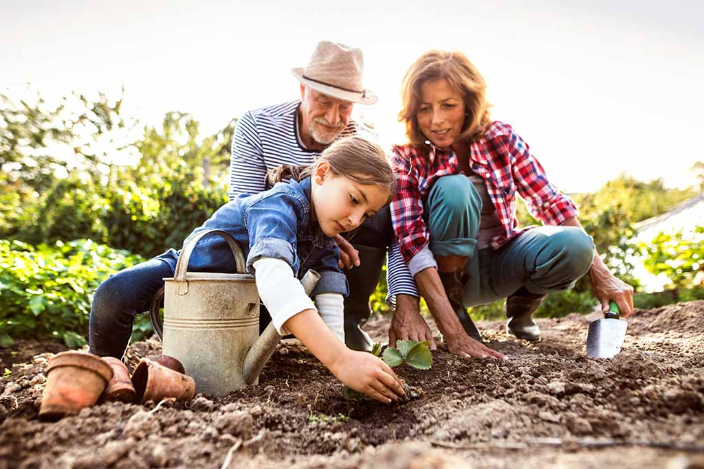 Generations at the Farm
