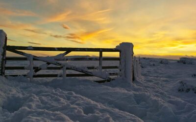 Preparing Your Farm for Winter: A Practical Guide for Ontario Farmers
