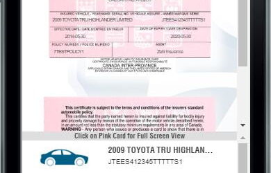 Digital Pink cards now acceptable form of proof of insurance.